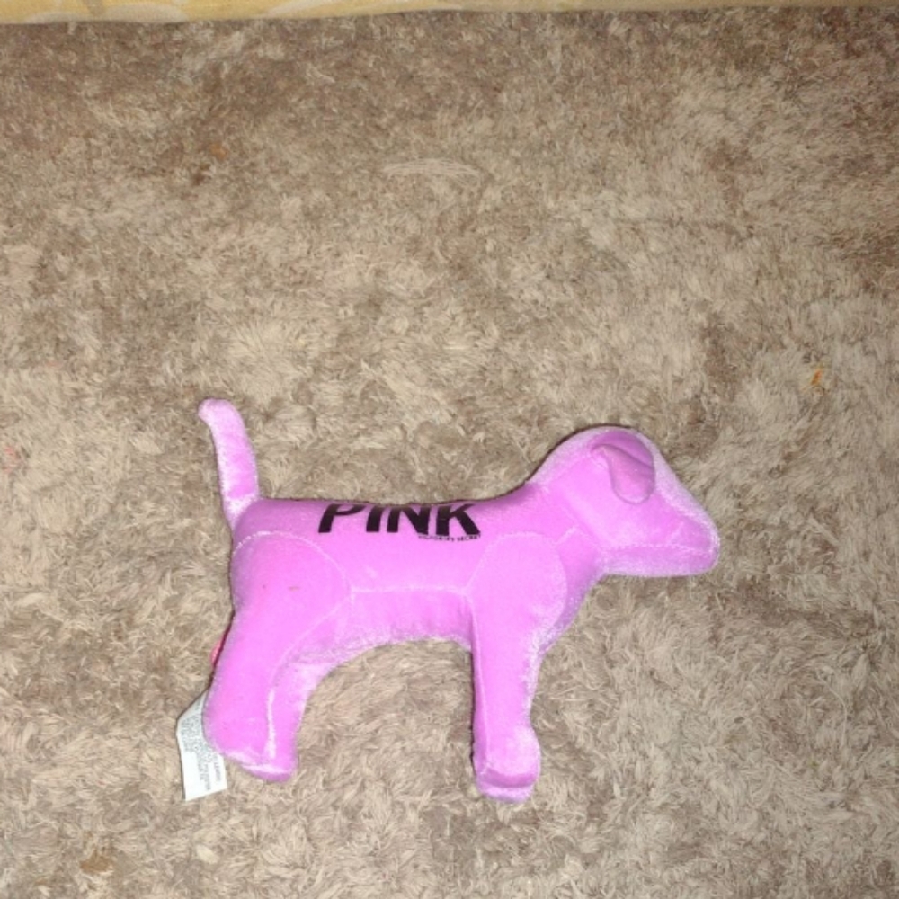 Vs pink purple dog